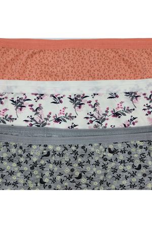 Üçlü Kadın Slip 2XL Beden